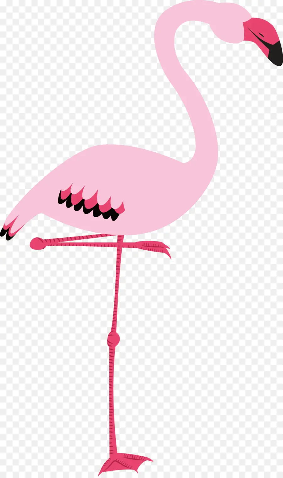 Cygnini，Flamingo PNG