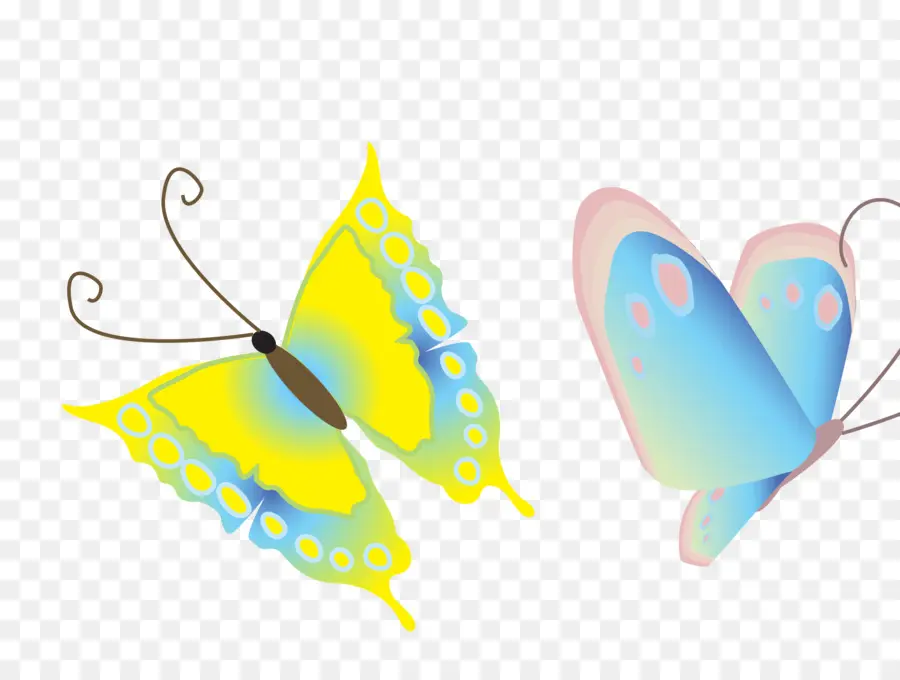 Mariposas Coloridas，Insectos PNG