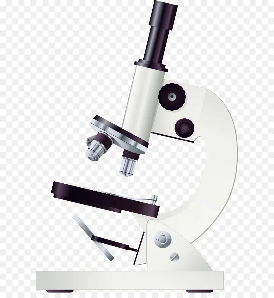 Microscopio，Ciencia PNG