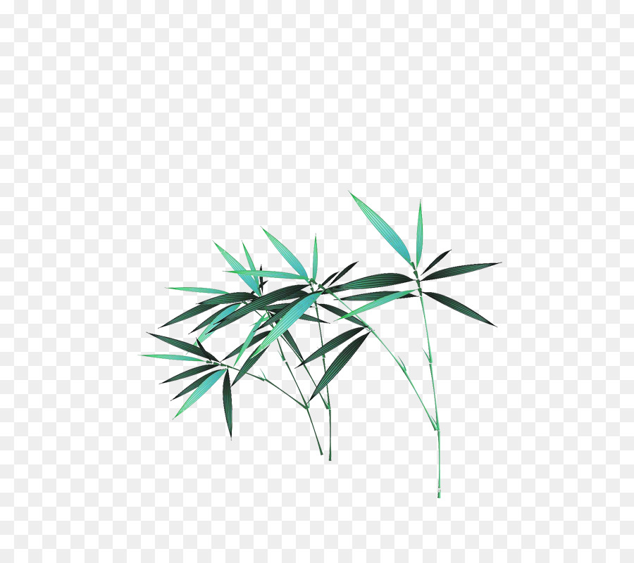 Bambú，Planta PNG