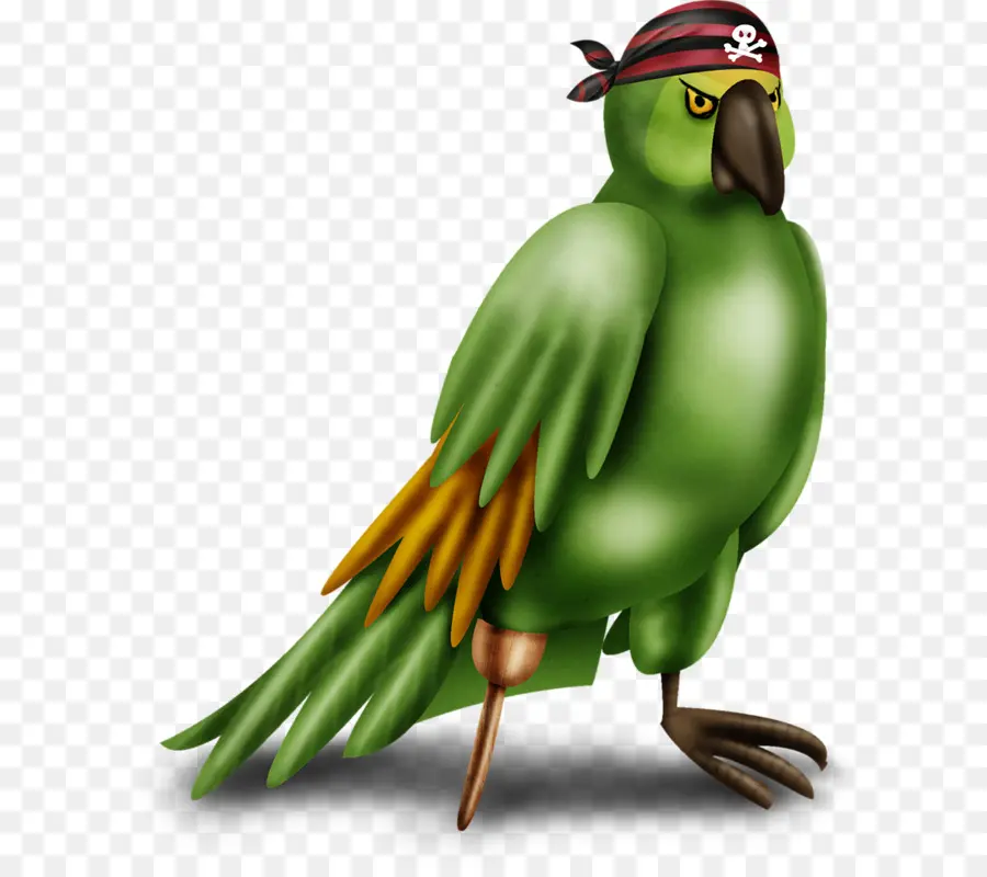 Pájaro，Perico PNG