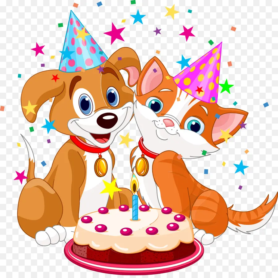 Fiesta De Perros Y Gatos，Pastel PNG