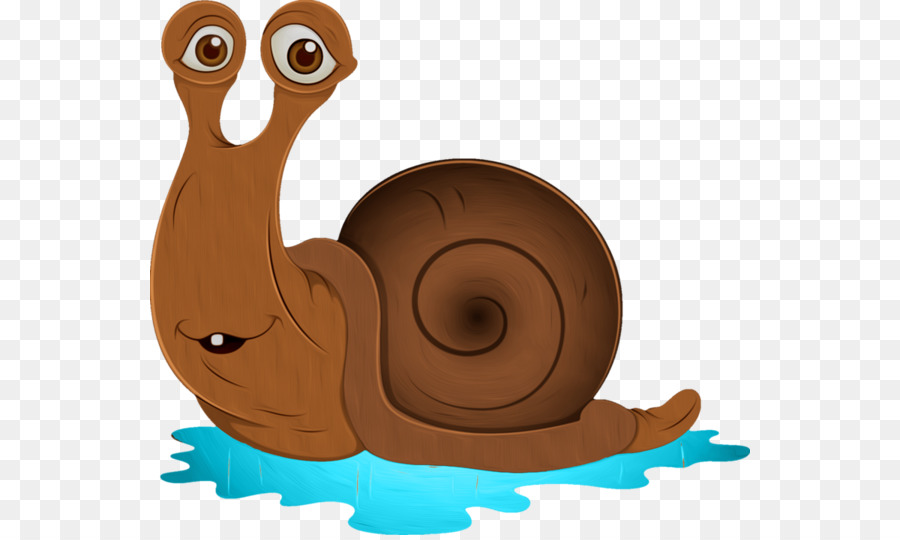 Caracol，Escargot PNG