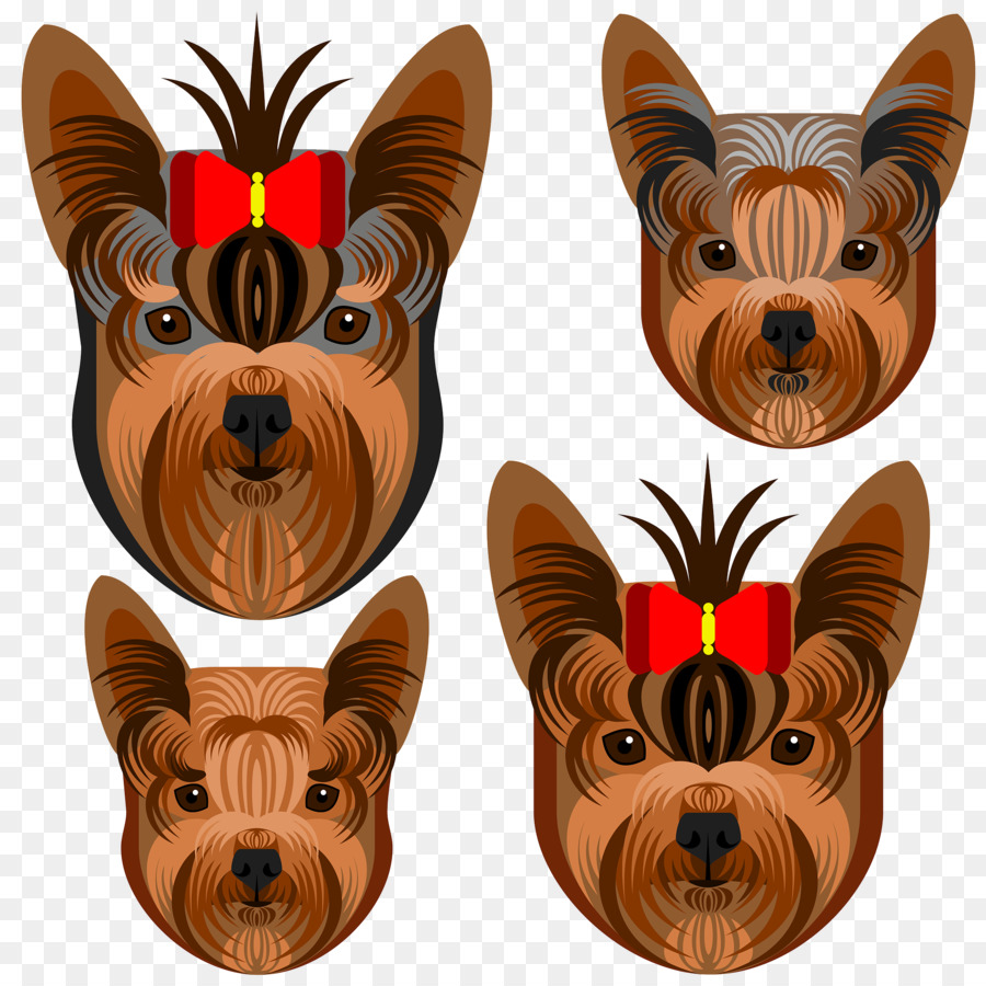 Yorkshire Terrier，Australian Terrier PNG