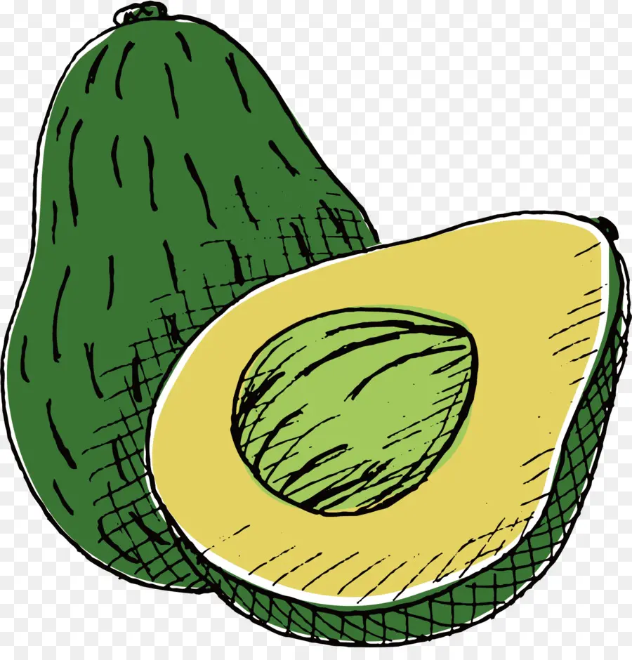 Aguacate，Dibujo PNG