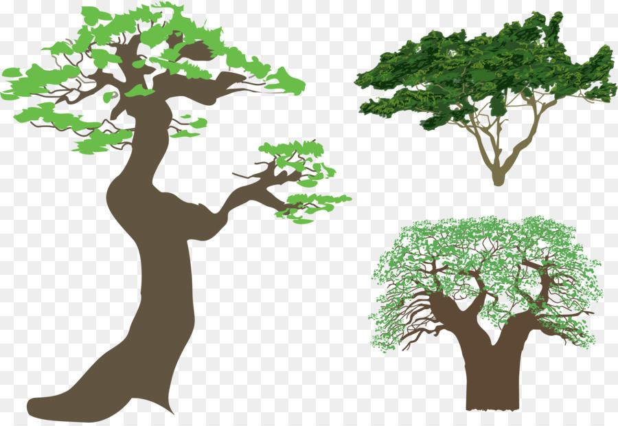 árbol，Silueta PNG