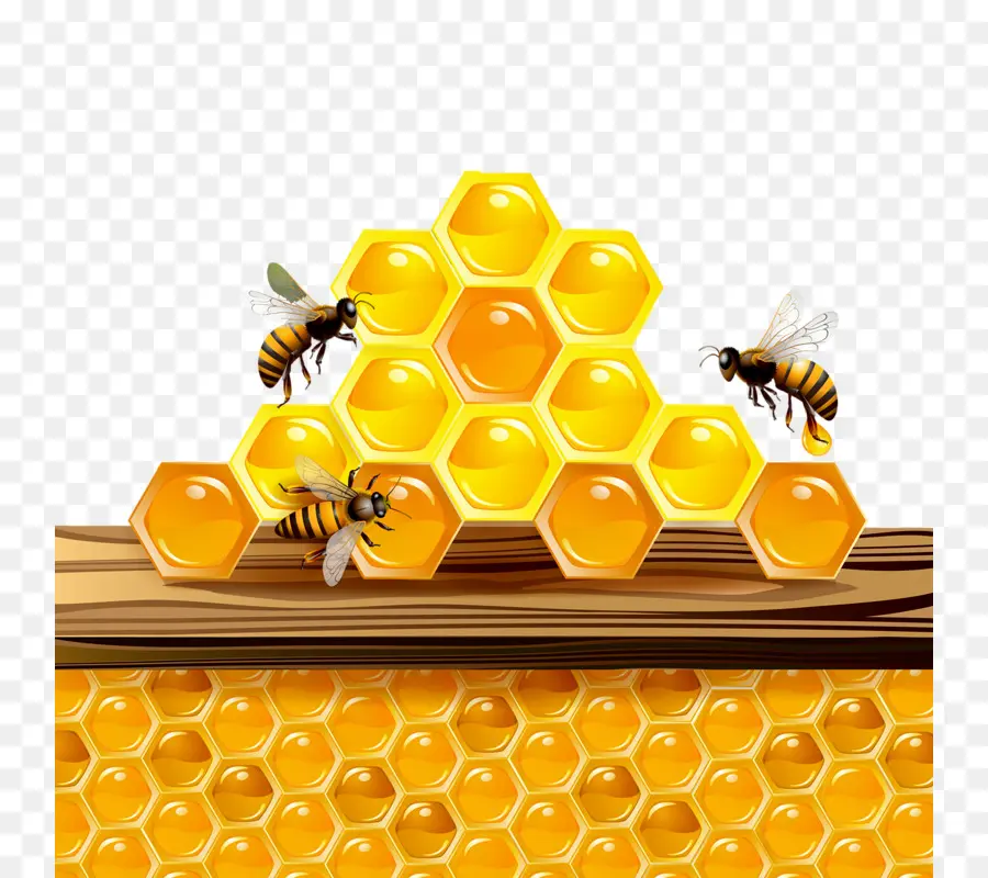 Abeja，La Miel PNG