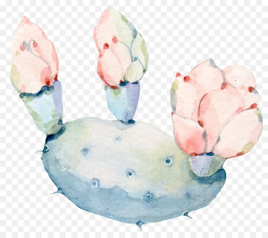 Acuarela De Flores，Pintura A La Acuarela PNG