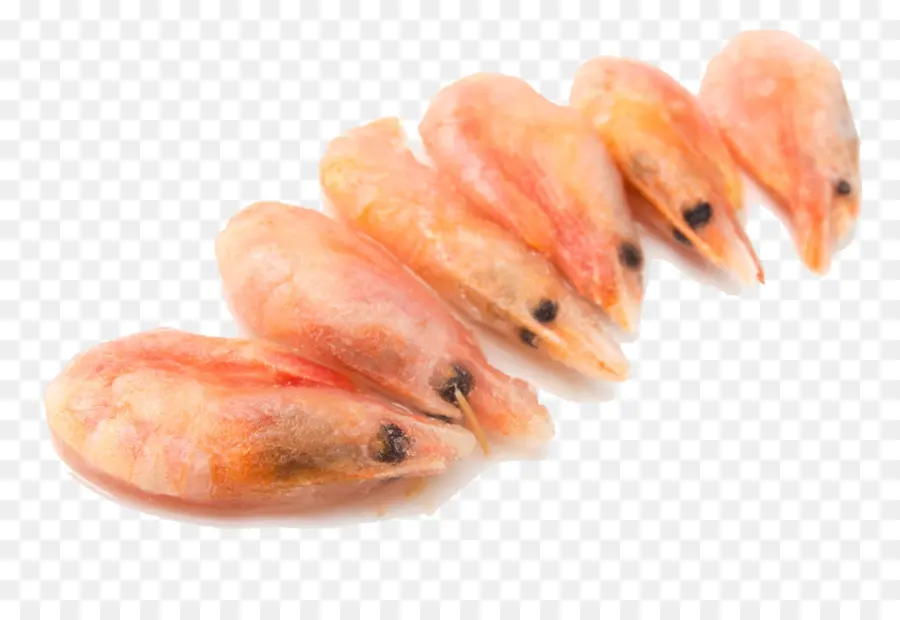 Caridea，Frito Con Gambas PNG