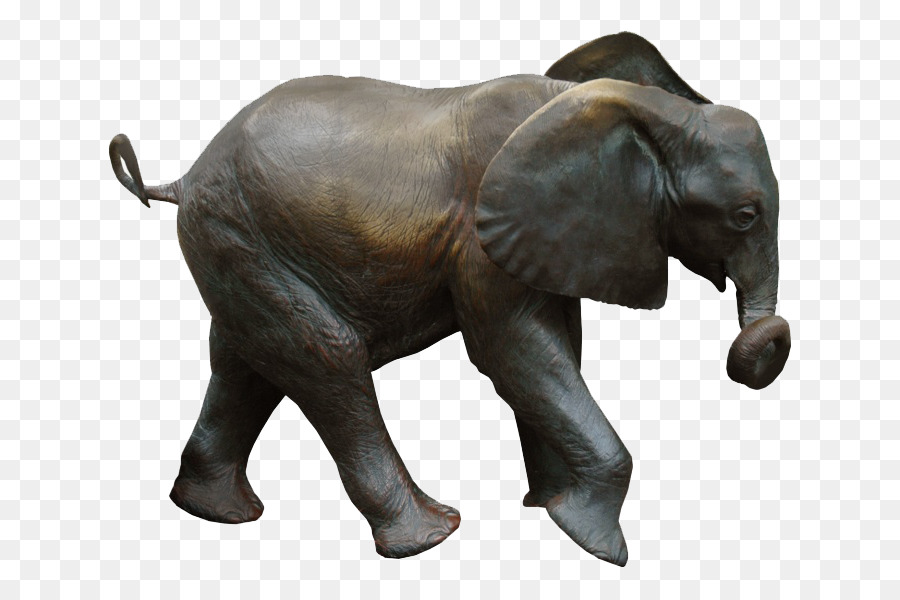 El Elefante Africano，Elefante Indio PNG
