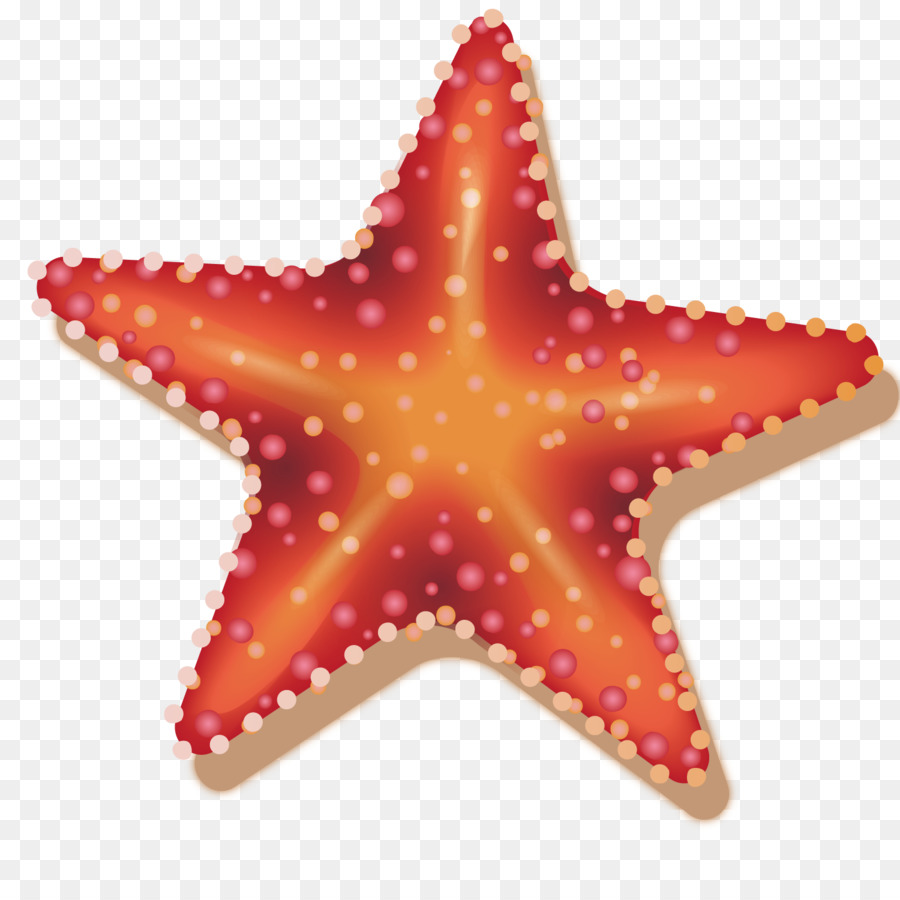 Estrella De Mar，Océano PNG