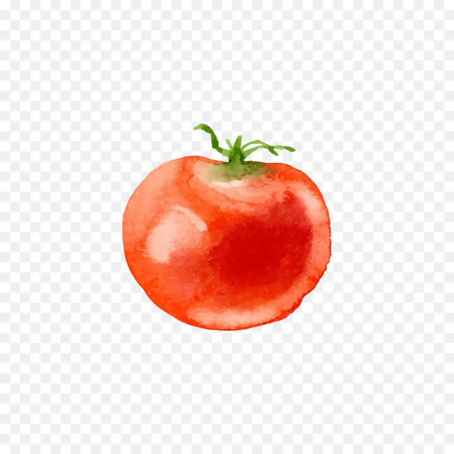 Tomate，Vegetal PNG