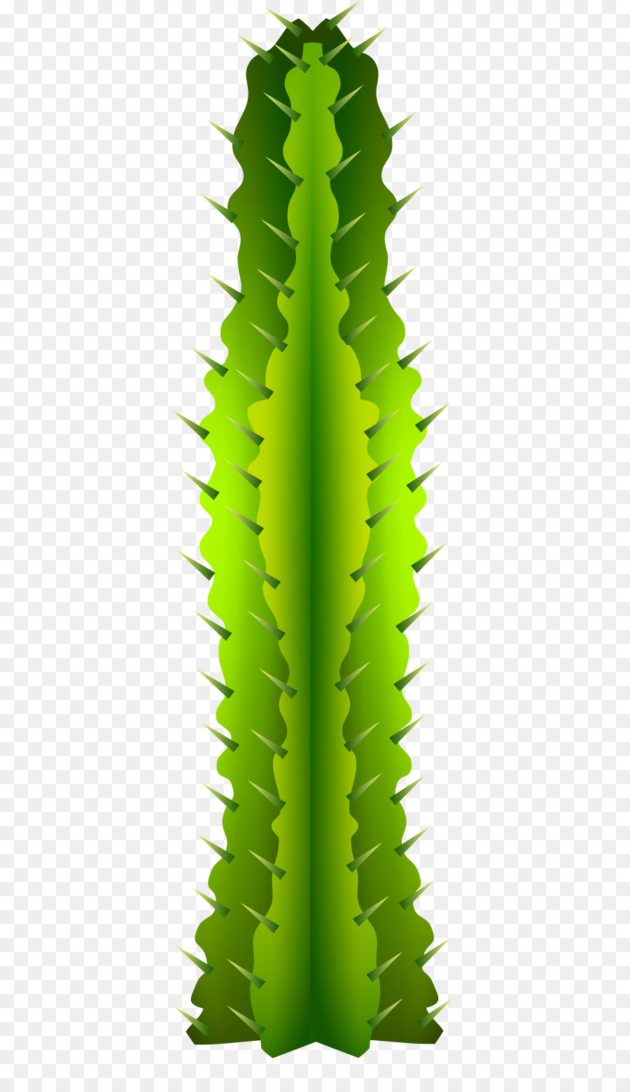 Cactus，Verde PNG