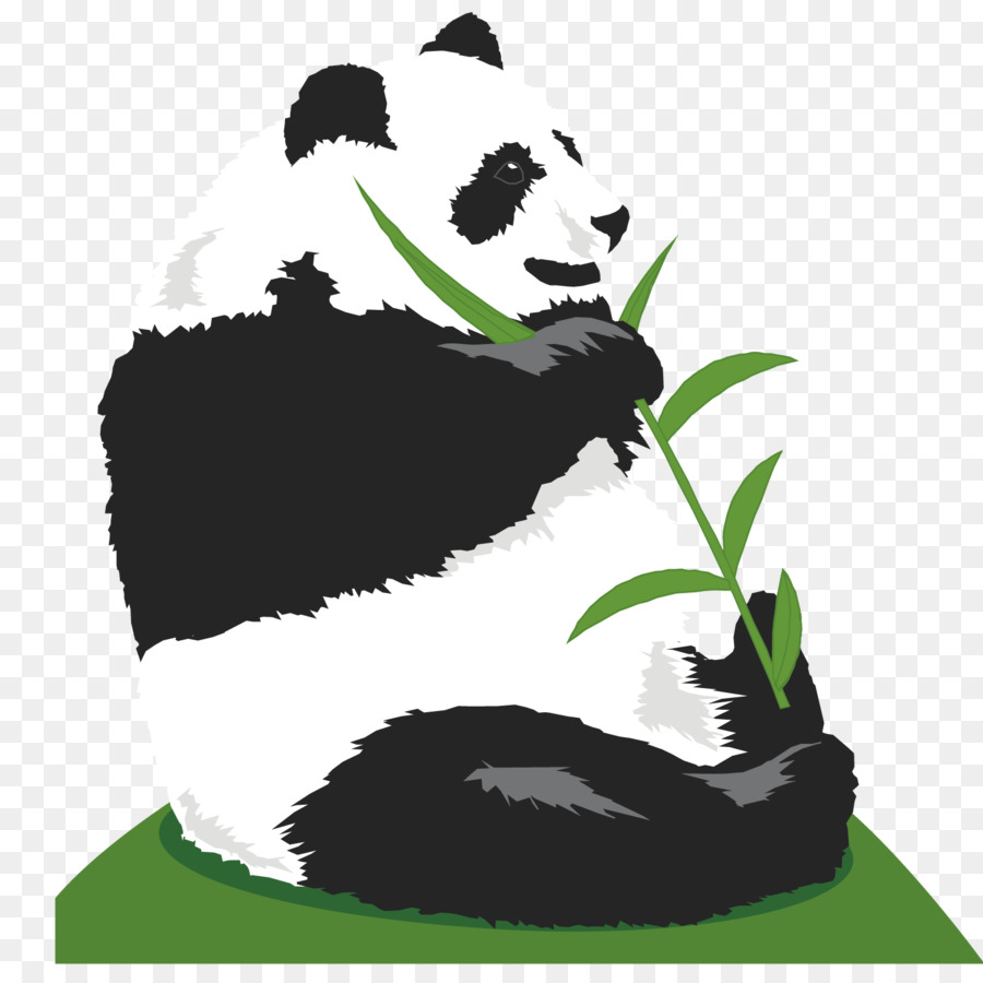 El Panda Gigante，Oso PNG