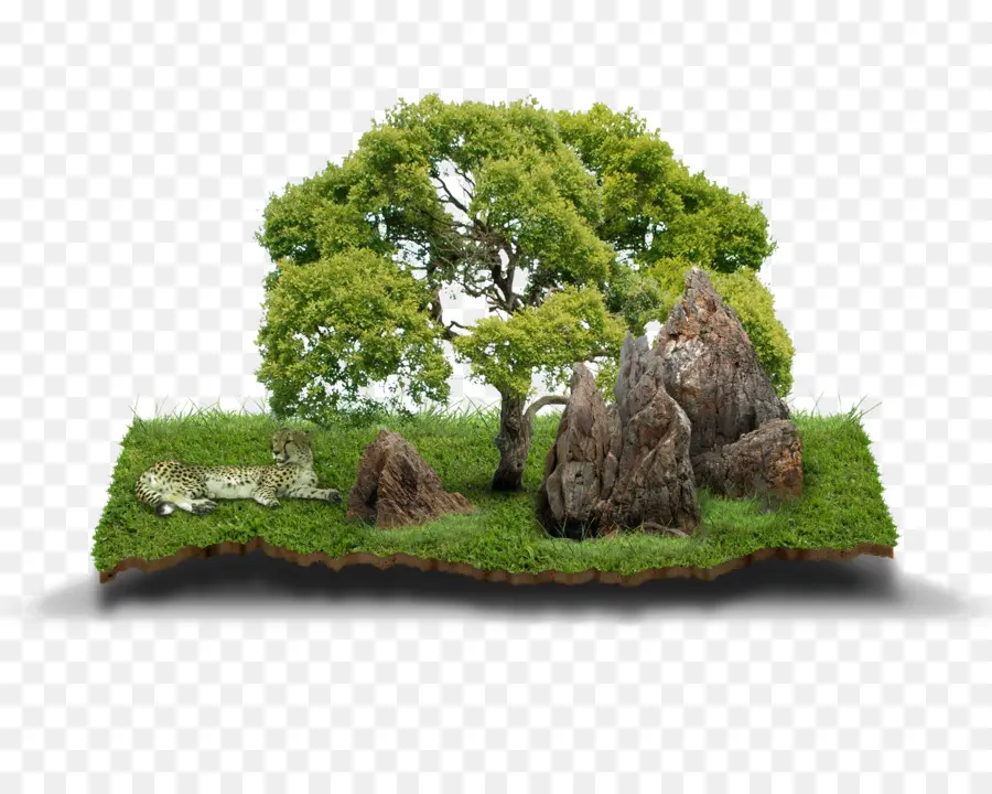 Paisaje En Miniatura，árbol PNG