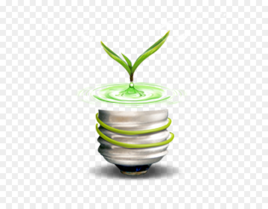 Planta，Bombilla PNG