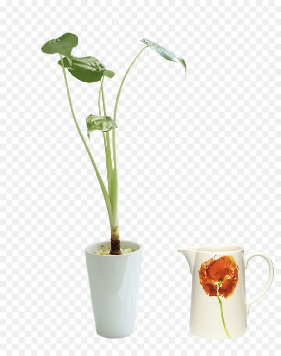 Florero，Maceta PNG