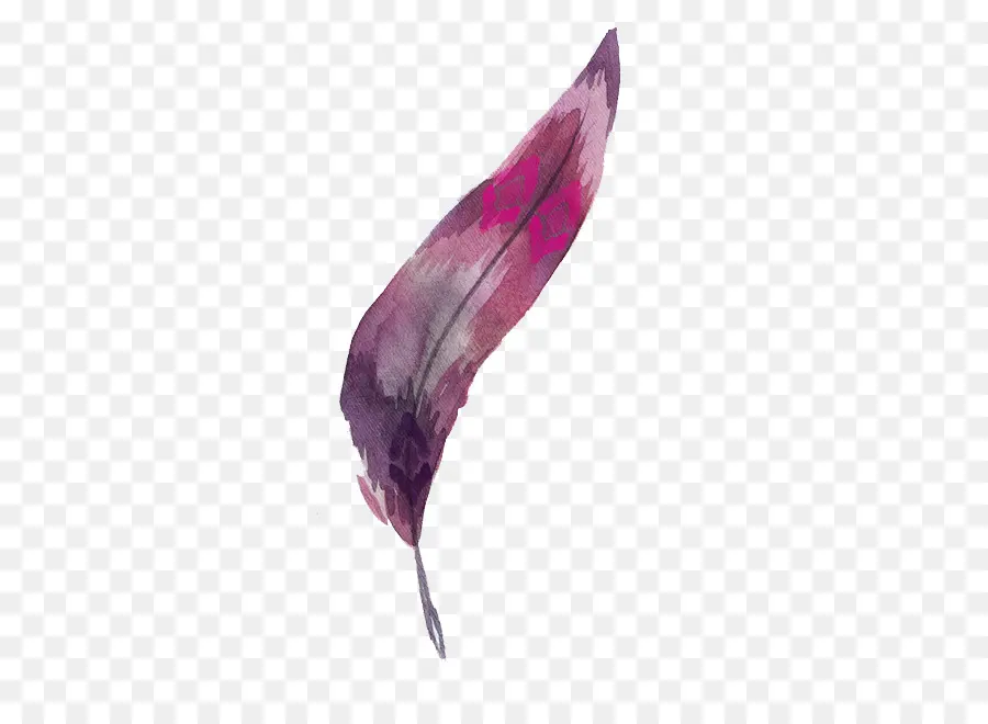 Pluma Morada，Pluma PNG