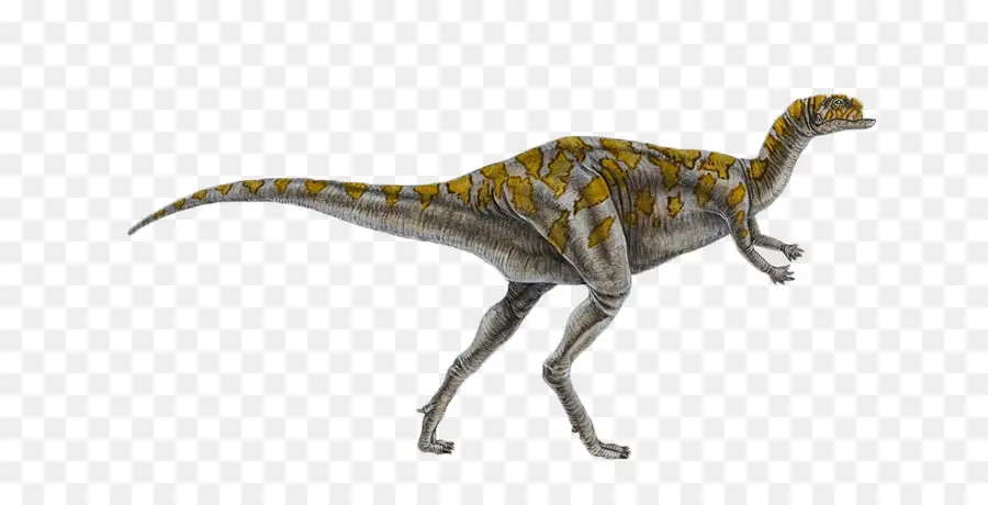 Dryosaurus，Iguanodontia PNG