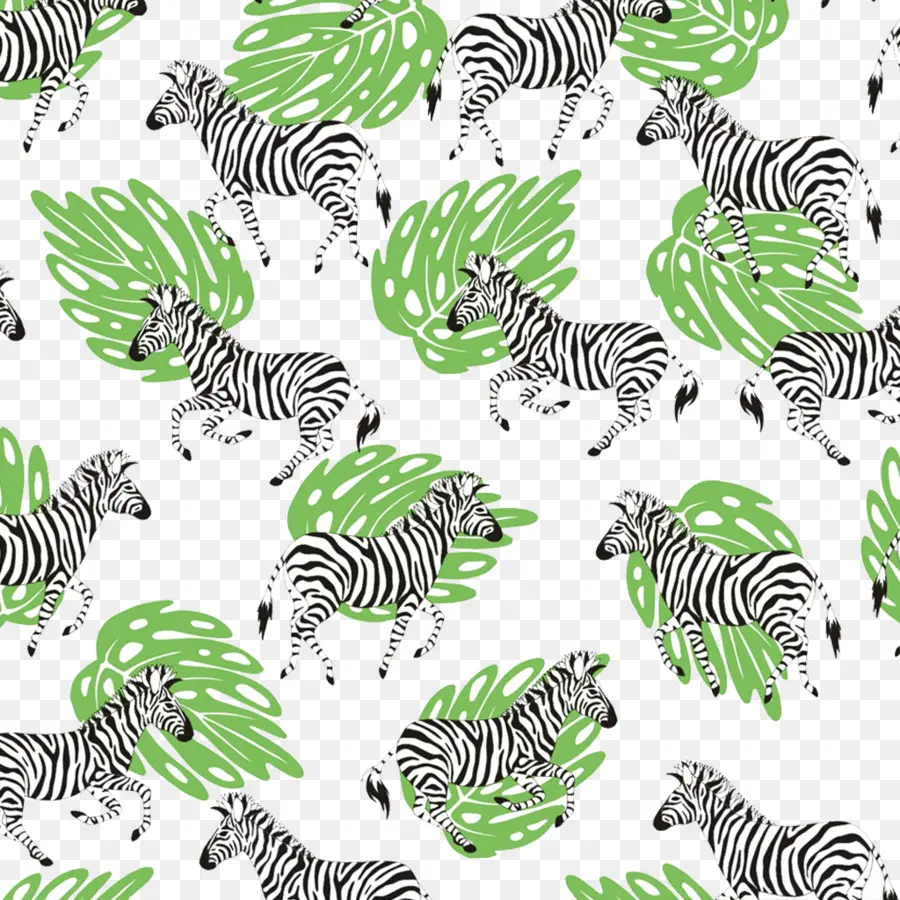 Zebra，Adobe Illustrator PNG
