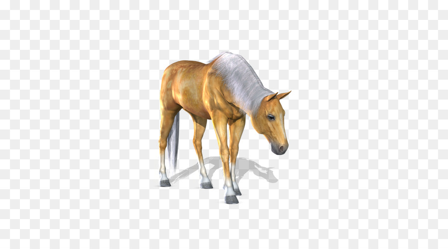 American Paint Horse，Descargar PNG