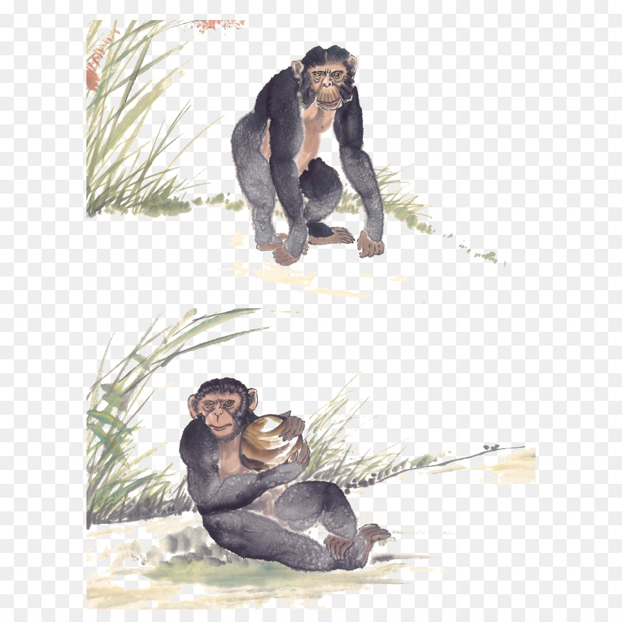 Gorila，Chimpancé Común PNG
