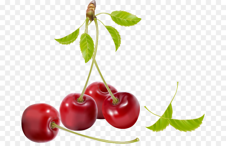 Yogur，Cherry PNG