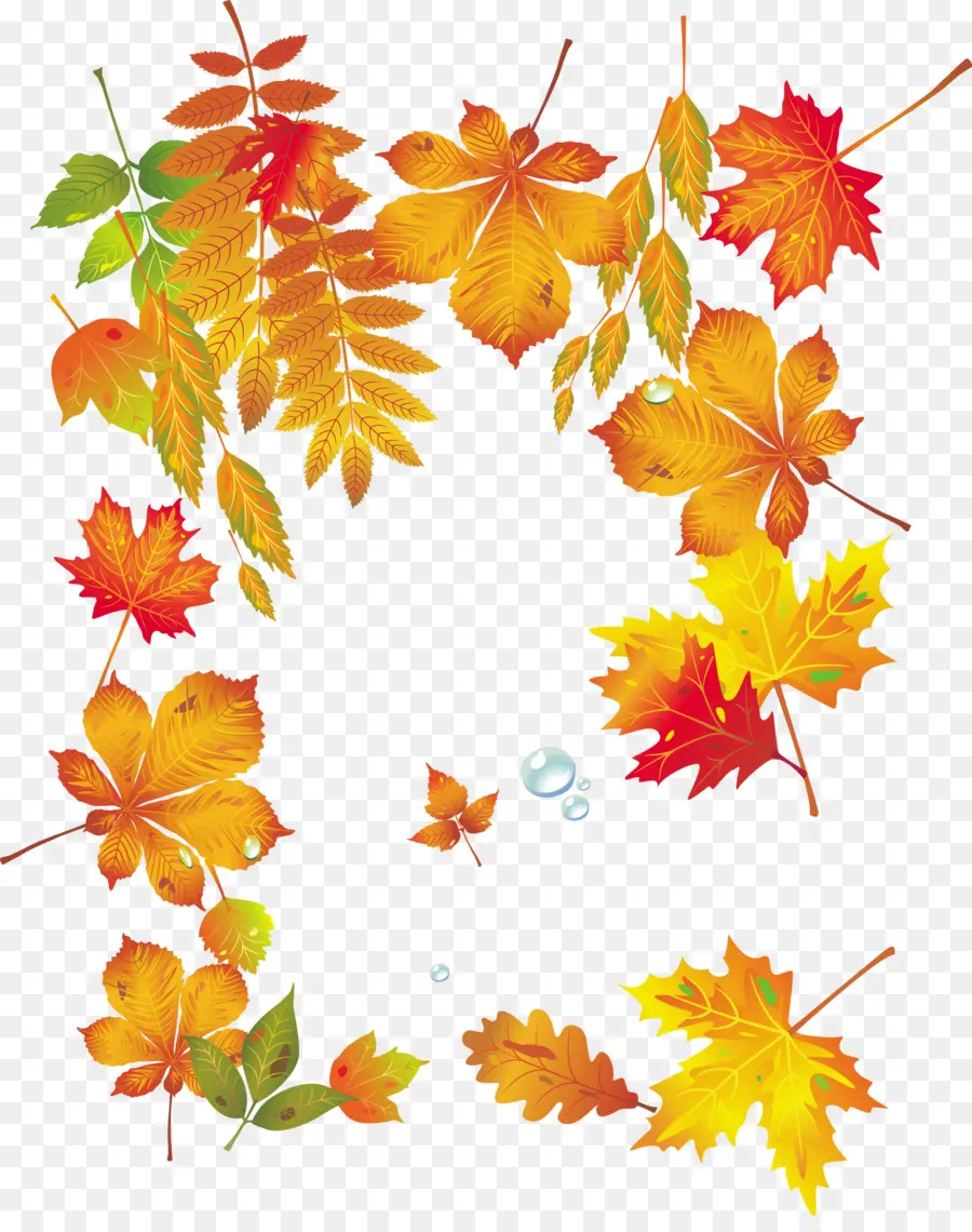 Corona De Otoño，Hojas PNG