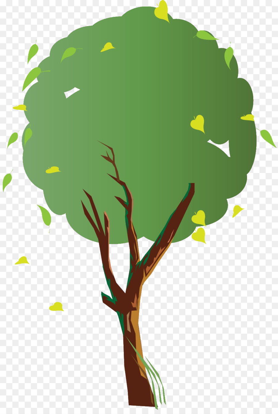 Rama，árbol PNG