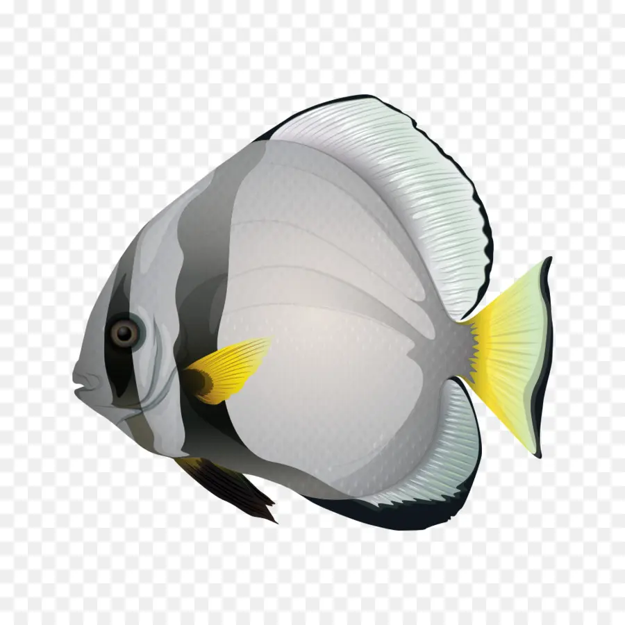 Los Peces，U6d77u6c34u9b5a PNG