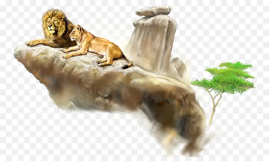 León，Animación PNG