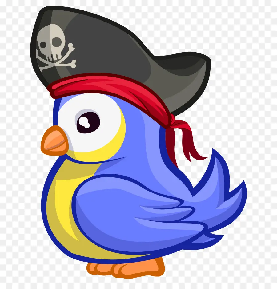 Pájaro Pirata，Sombrero PNG