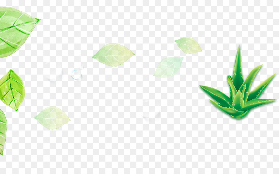 Hojas Verdes，Hojas PNG