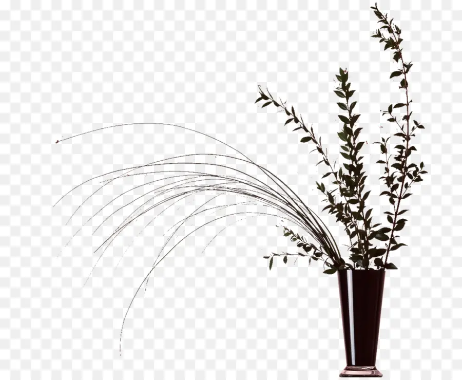 Florero，Planta PNG