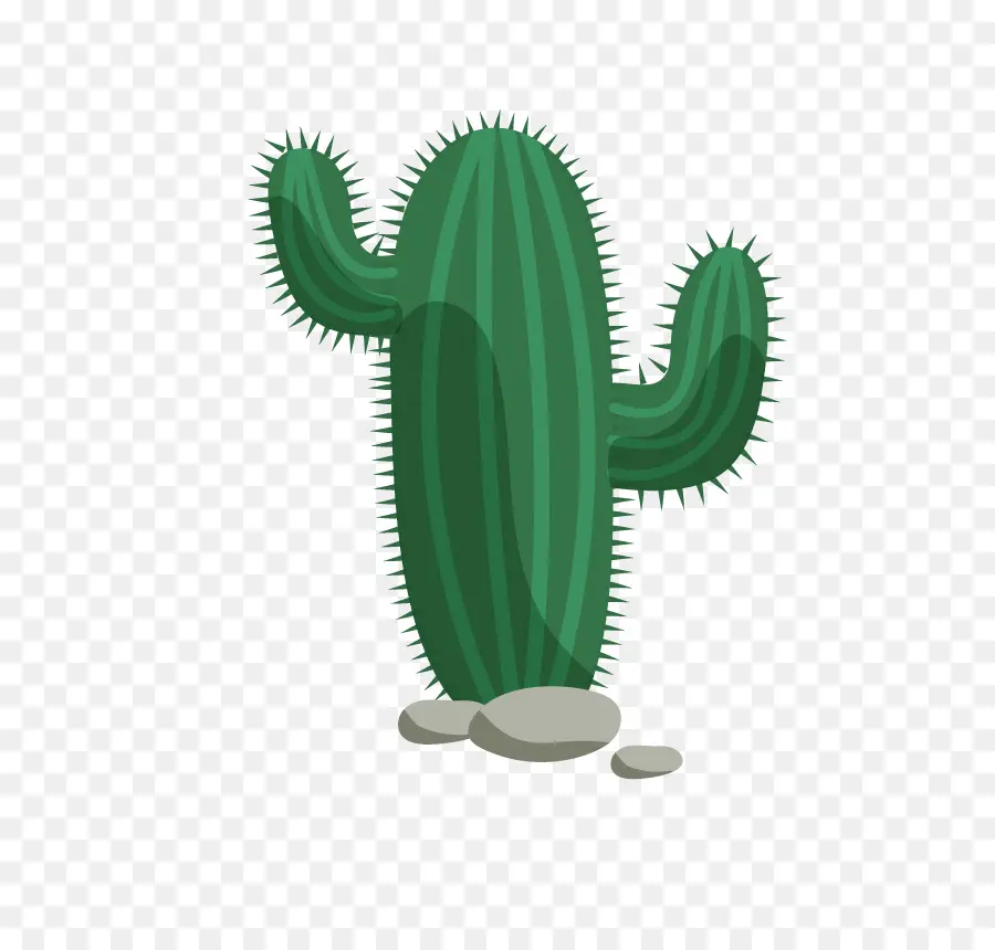 Cactus，Desierto PNG