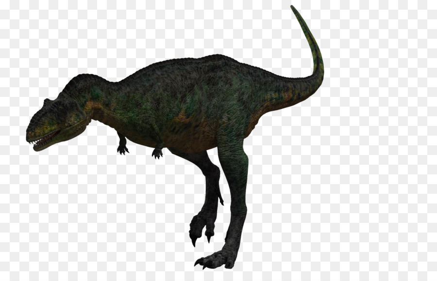 Velociraptor，Aucasaurus PNG