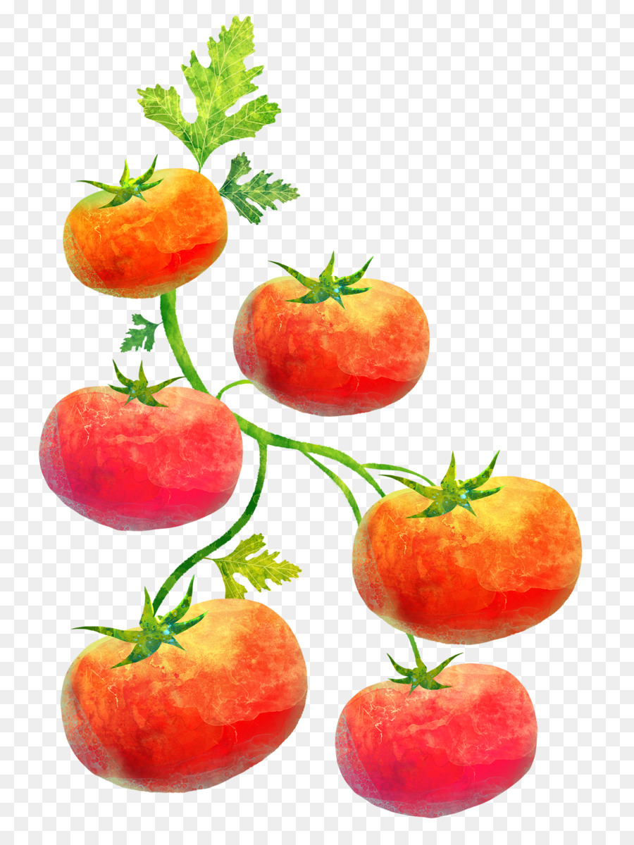 Tomates，Rojo PNG