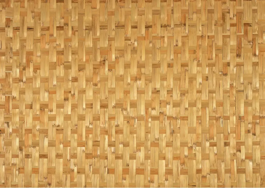 El Mapeo De Texturas，Bambú PNG