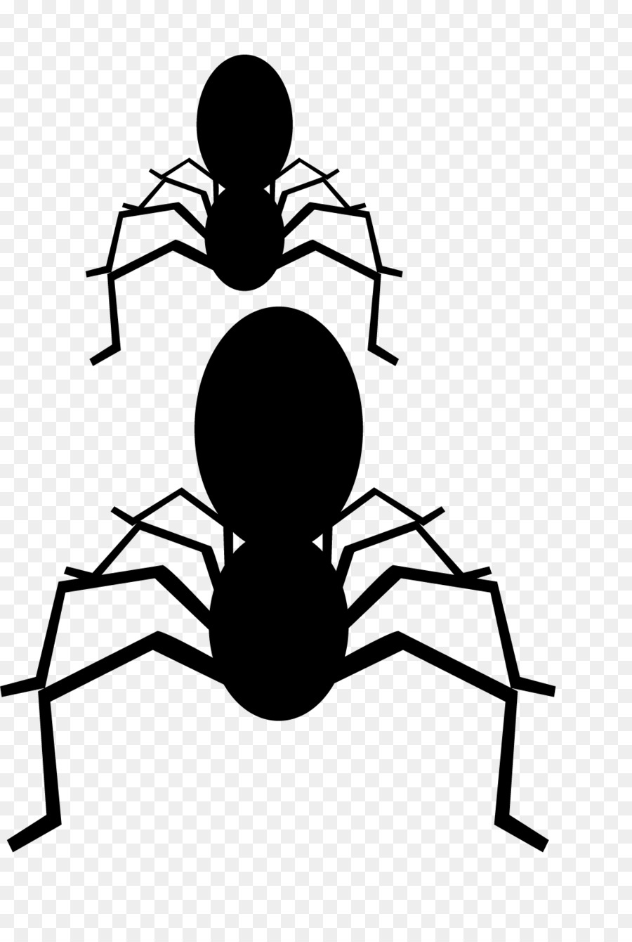 Araña，En Blanco Y Negro PNG