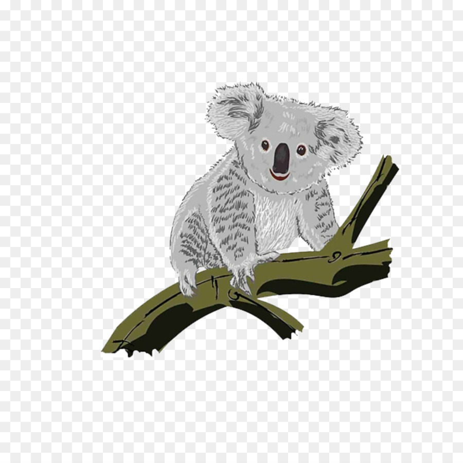 Koala，Descargar PNG