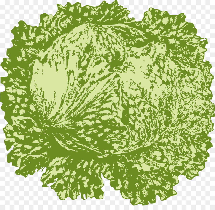 La Lechuga Iceberg，Cocina Vegetariana PNG