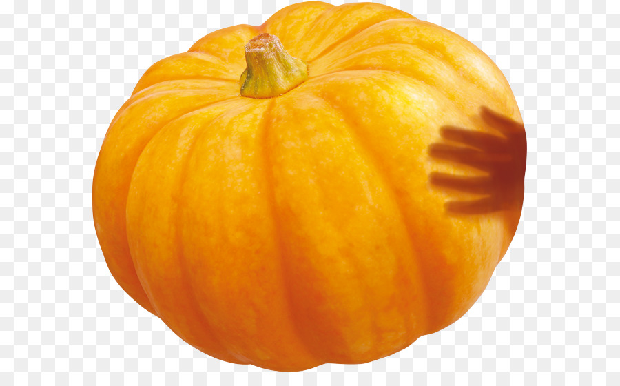 Calabaza，Calabaza De Invierno PNG