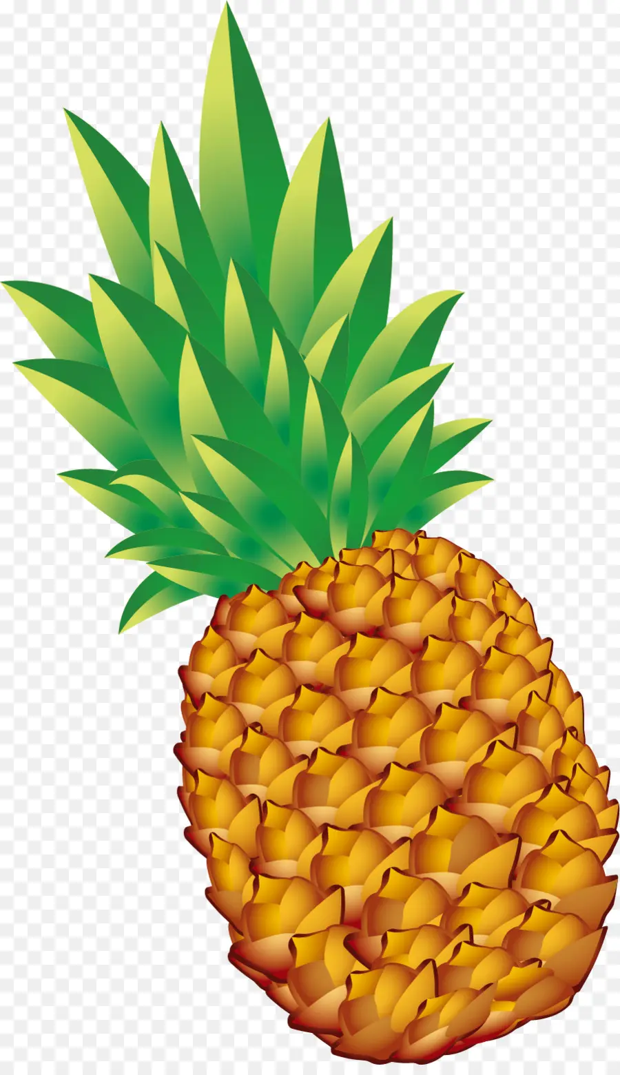 Piña，Fruta PNG