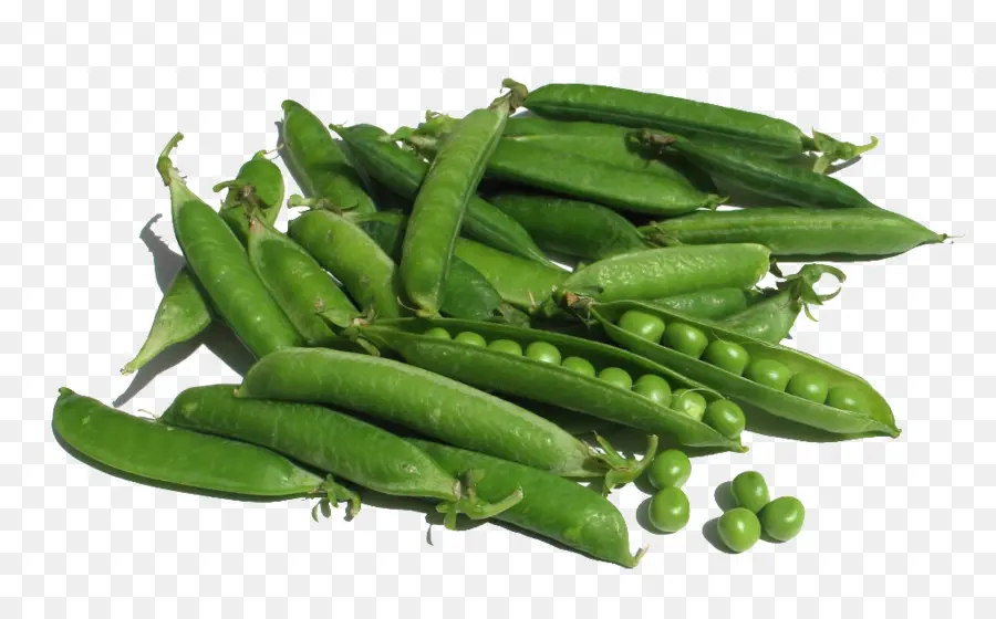 Alimentos Orgánicos，Snow Pea PNG