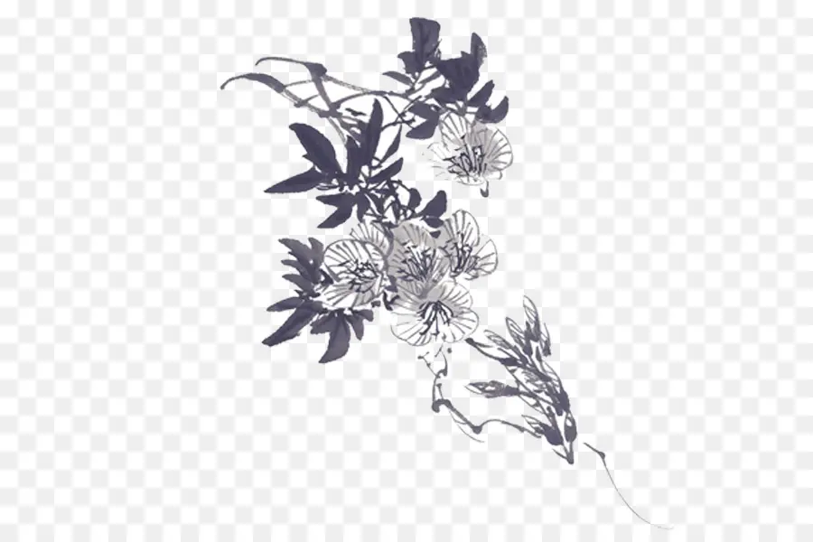 Diseño Floral，Flores PNG