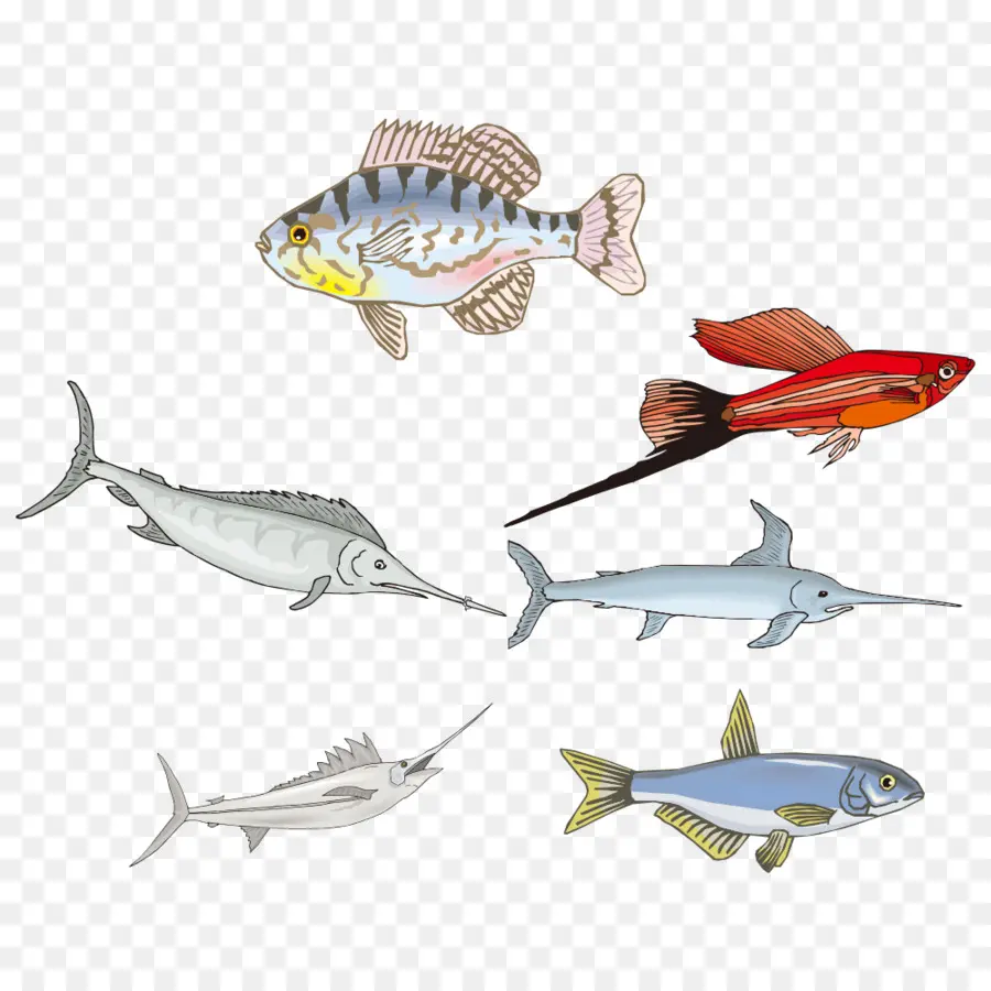 Los Peces，Dibujo PNG