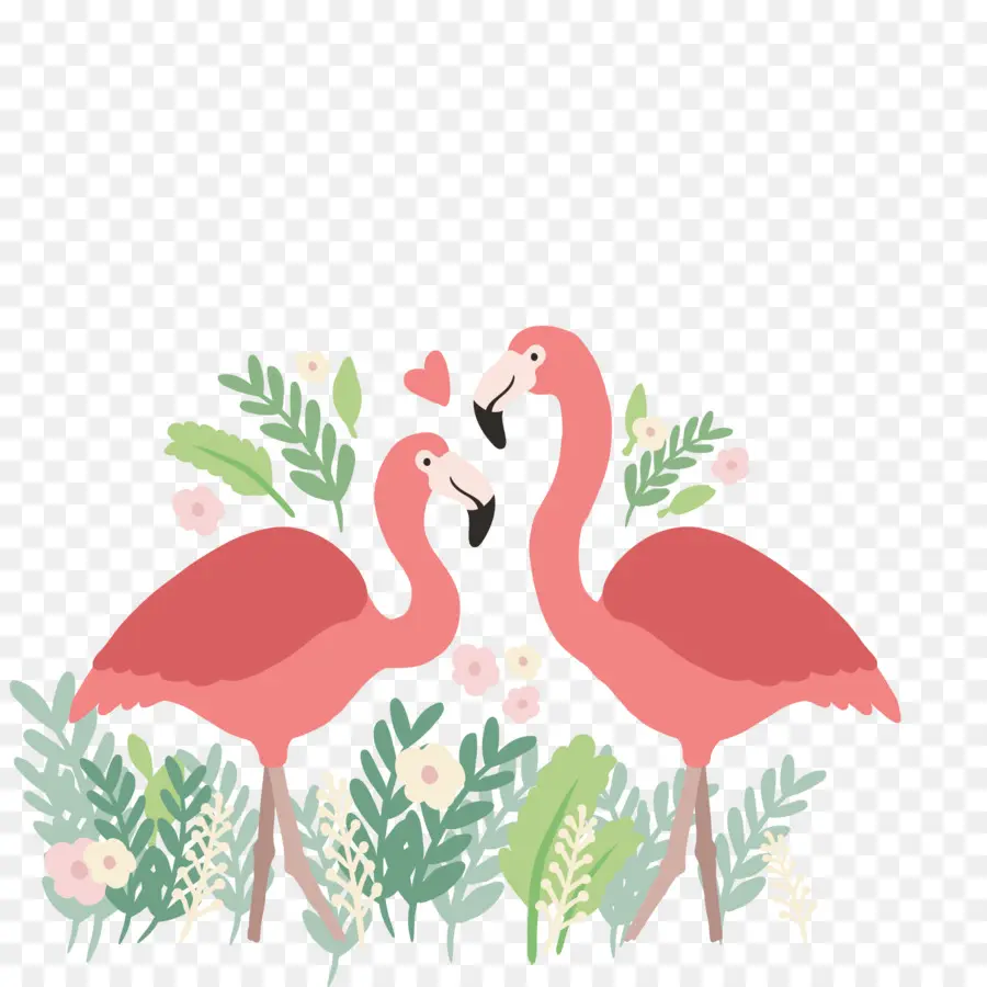 Flamingo，Descargar PNG