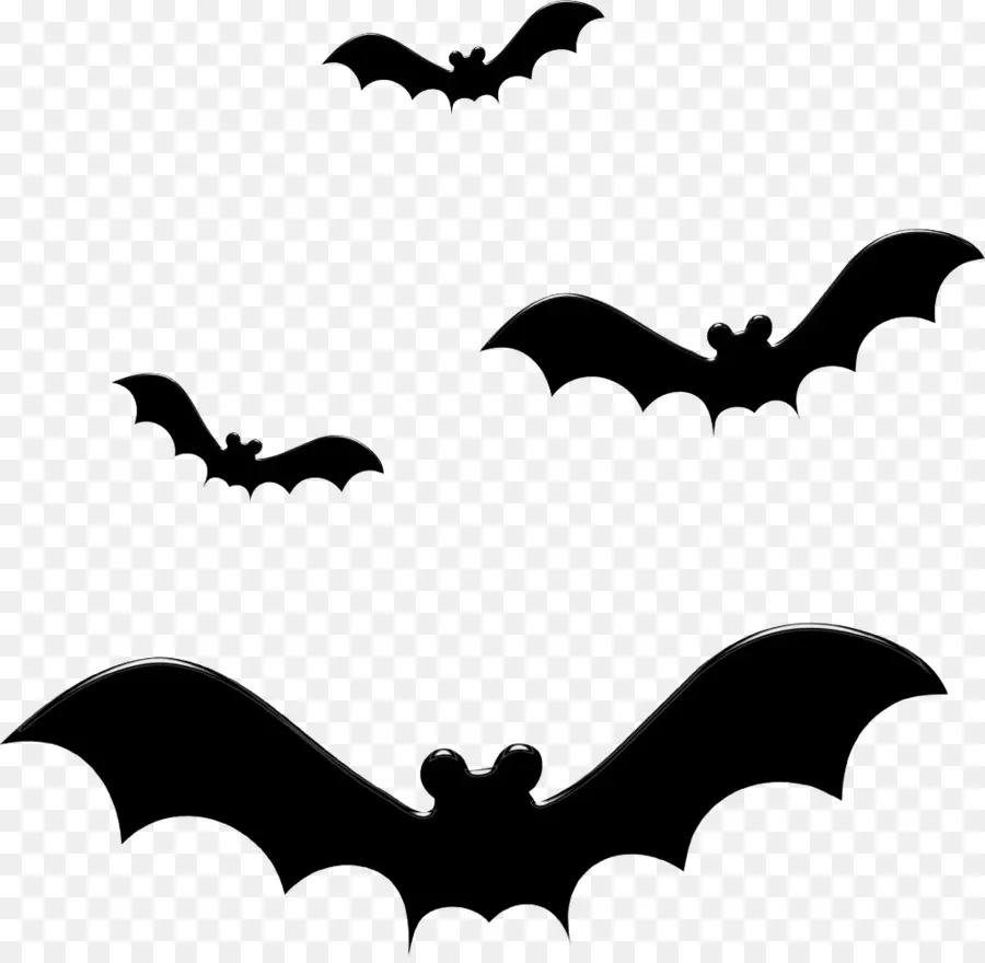 Bat，Halloween PNG