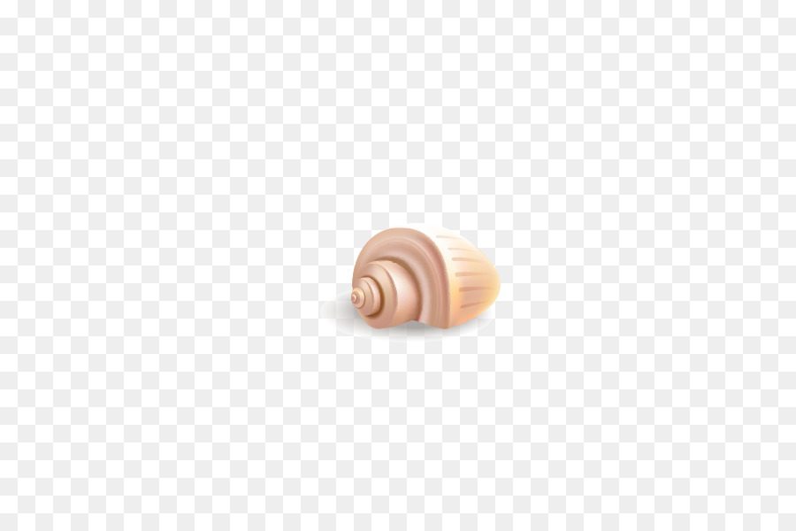 Caracol，Nautilida PNG