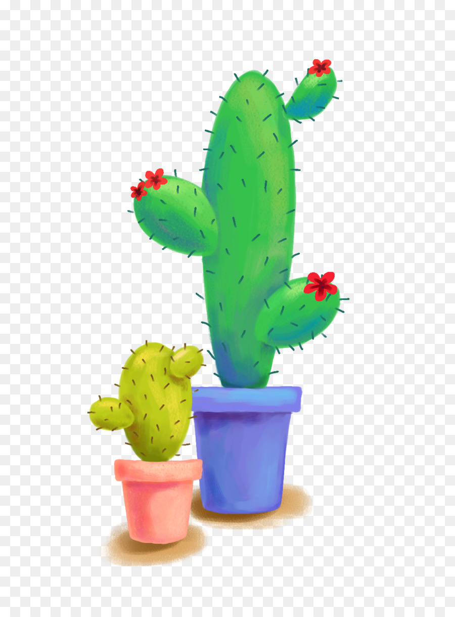 Cactus，Suculento PNG